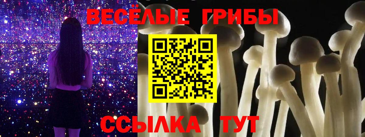 Псилоцибиновые грибы Psilocybe Гусь-Хрустальный